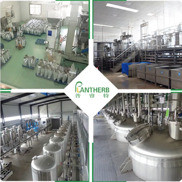 Top Quality 98% Huperzine Natural Serrata Extract Huperzine 1% Huperzine