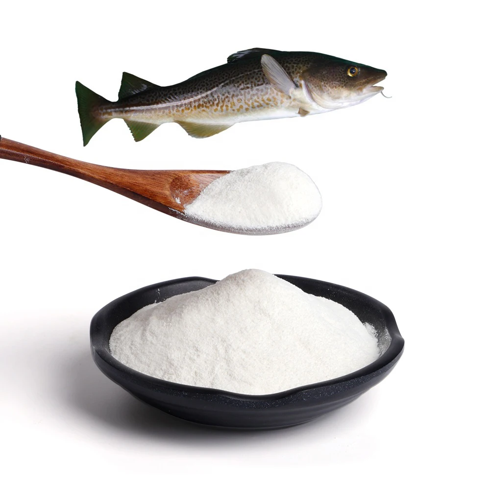 Keynovo Supply Sea Cucumber Peptide Powder Sea Cucumber Protein Peptide for Sale