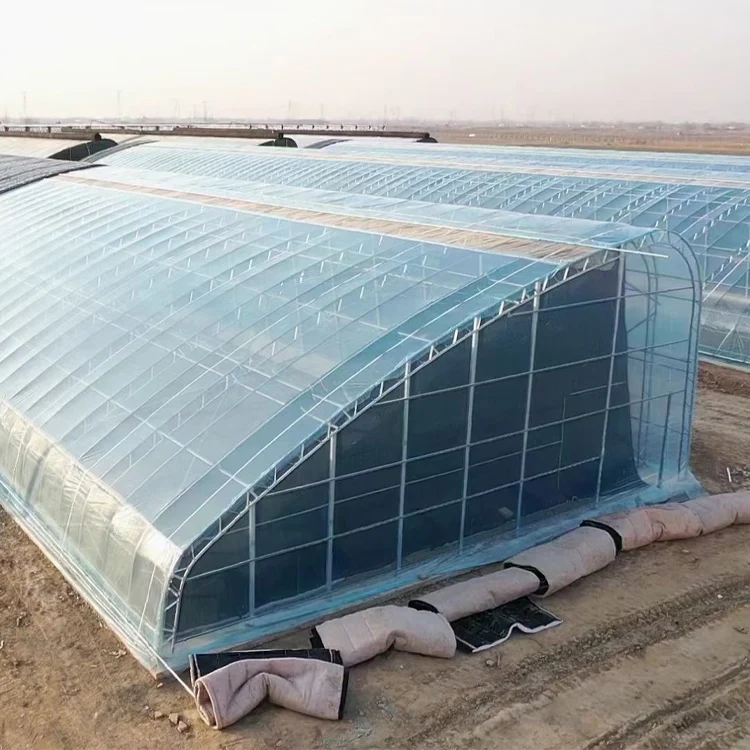 Double span commercial greenhouse passive solar insulated winter greenhouse for plant