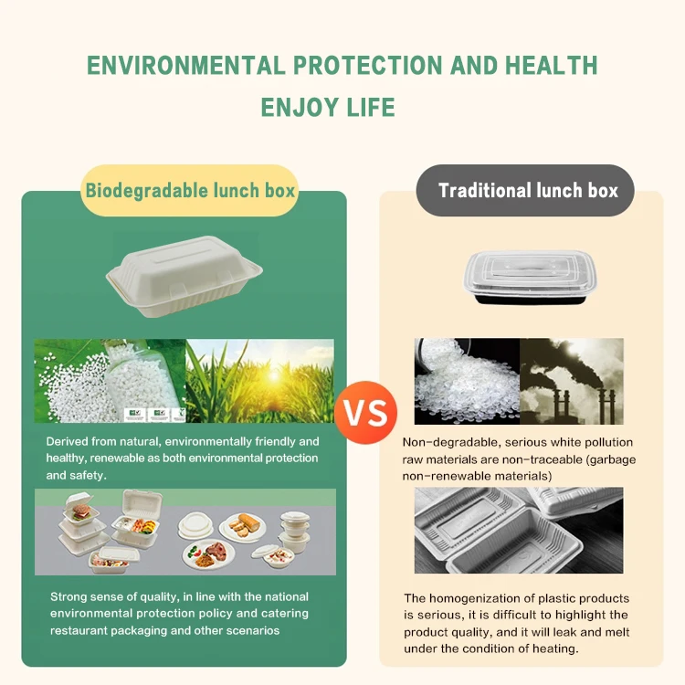 Bagasse Sustainable Disposable Bento Delivery Takeaway To Go Biodegradable Food Packaging