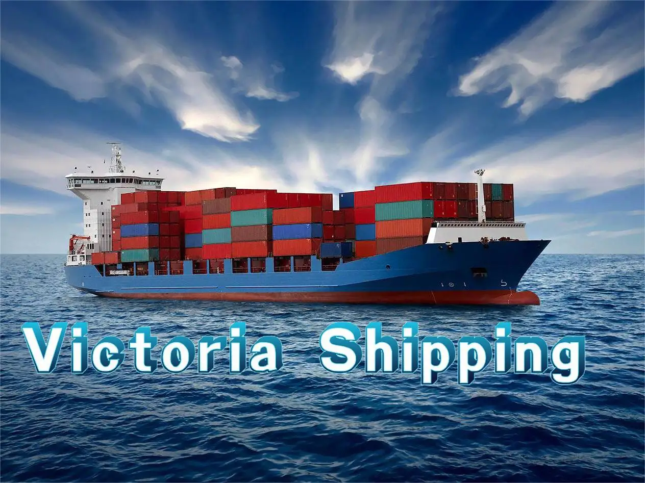 Hot sale and the cheap sea freight with the profession service and high quality