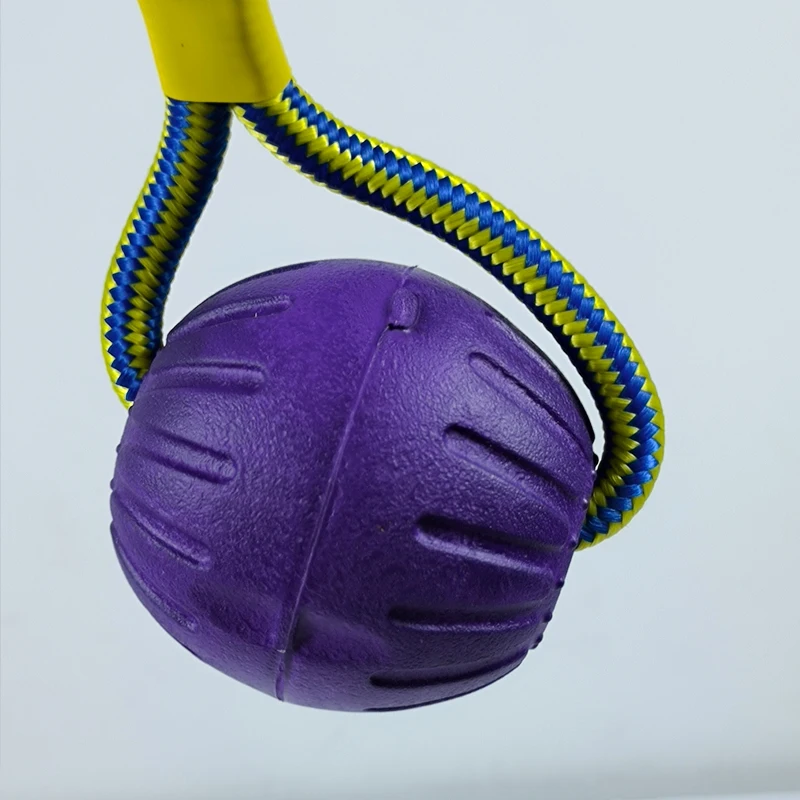 Wholesale EVA IQ Treat Interactive Pet Toy Pet Training Chew Ball With Rope