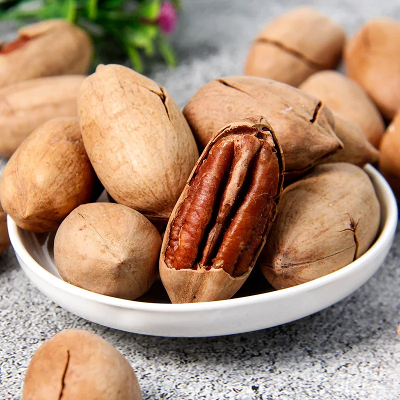 Wholesale Supplier Pecans Nut Raw Pecan Nut Pecan Nuts In Shell For Sale