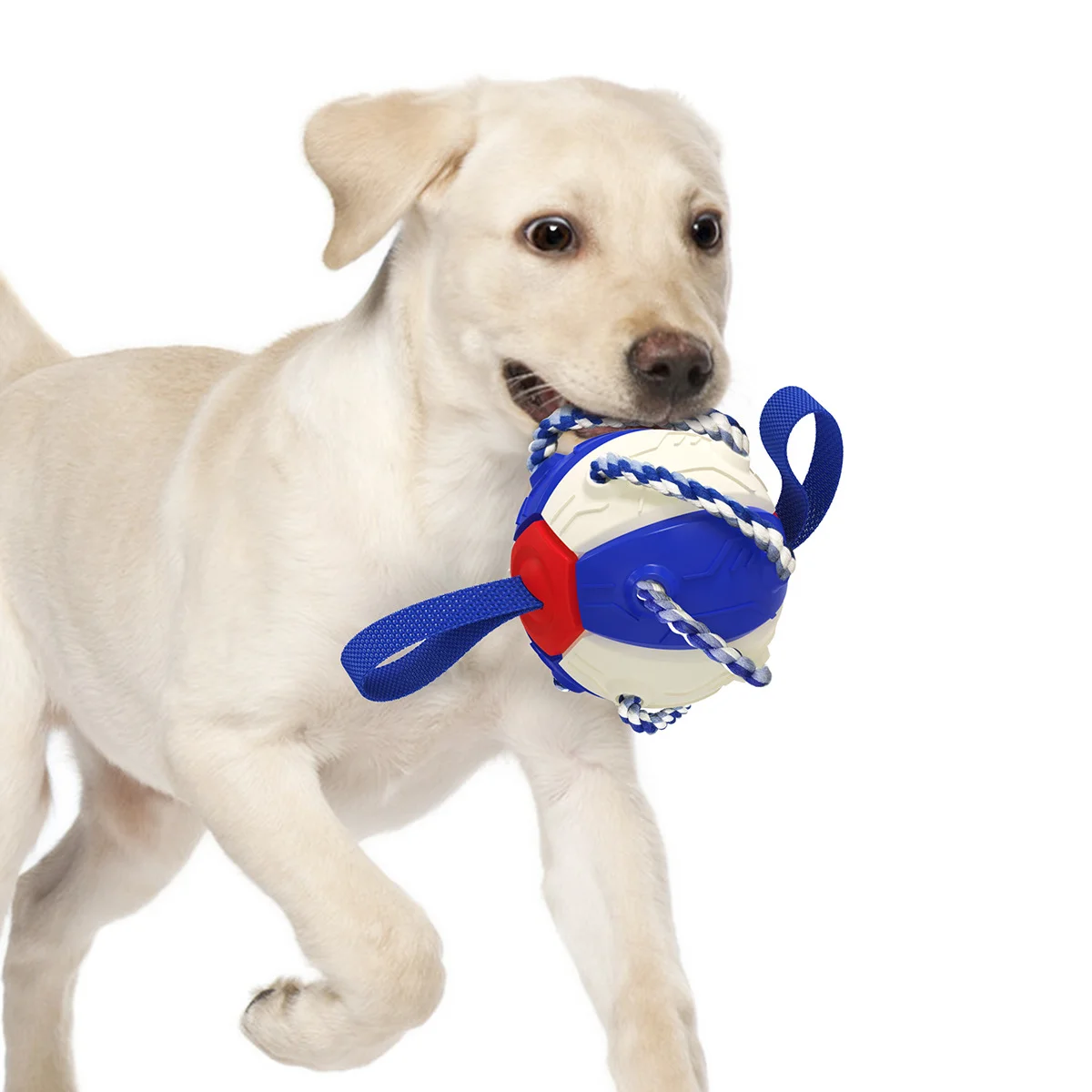 Outdoor ball 2024 top seller Pet squeak toys wear-resistant teeth dog outdoor Training  Football  Pet toy ball