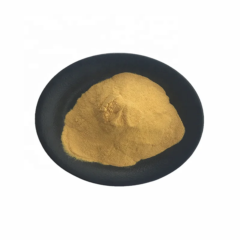 Mint extract powder High Quality peppermint extract powder