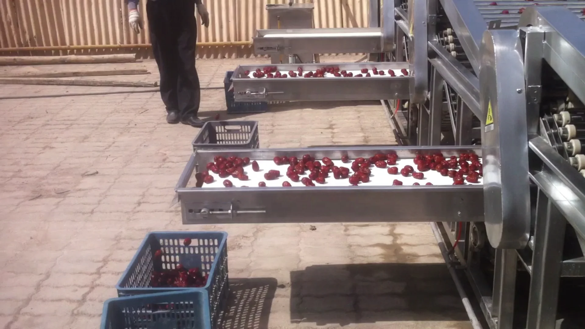 20 to 85  tons /24 hrs  palm dates washing drying  machine  for industrial dates washing sorting drying production