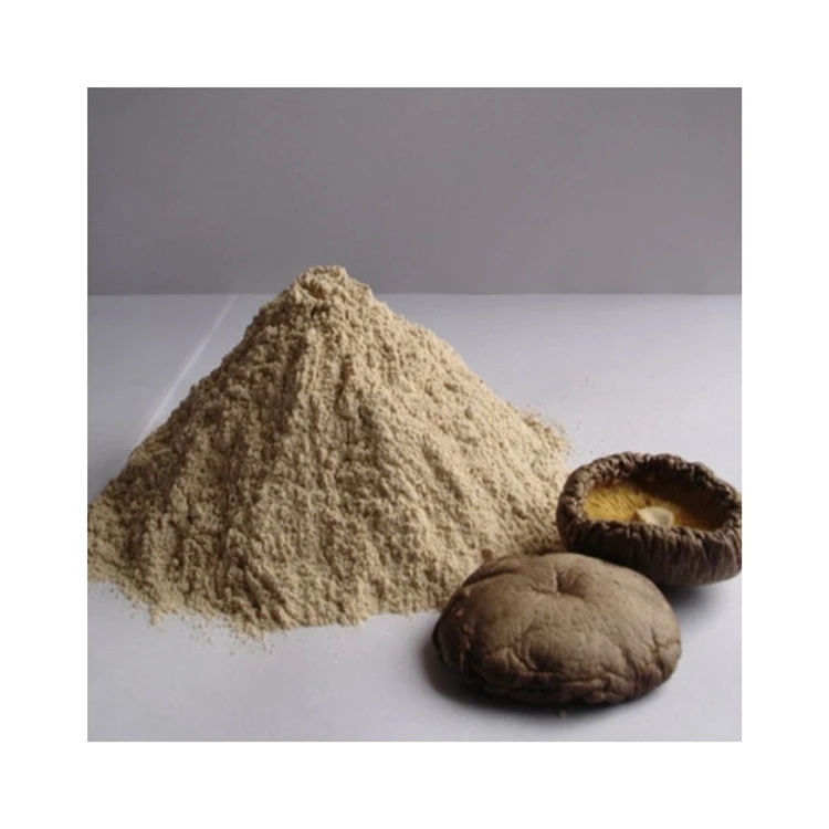 Оптовая продажа товары для пищеварения на заказ 100 г порошок грибов Shiitake Hypathisis пищевого