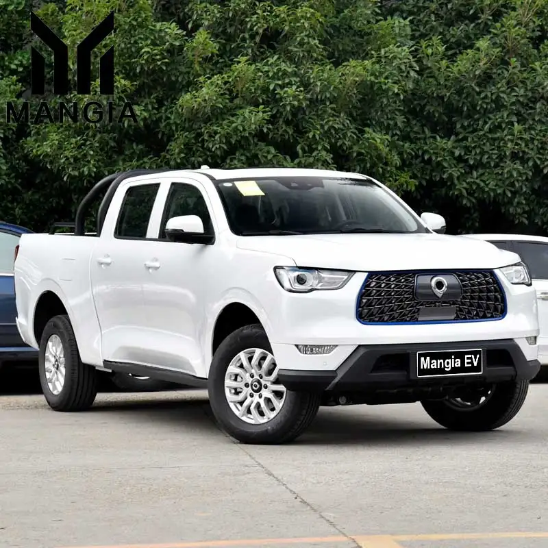 2023 China Electric Vehicle Great Wall Pao High Quality New Car for Sale Made in China 4-wheel Electric Pickup