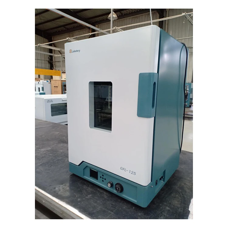 lab equipment blast drying oven sterilizing box High precision intelligence GFL-45 stainless steel inner