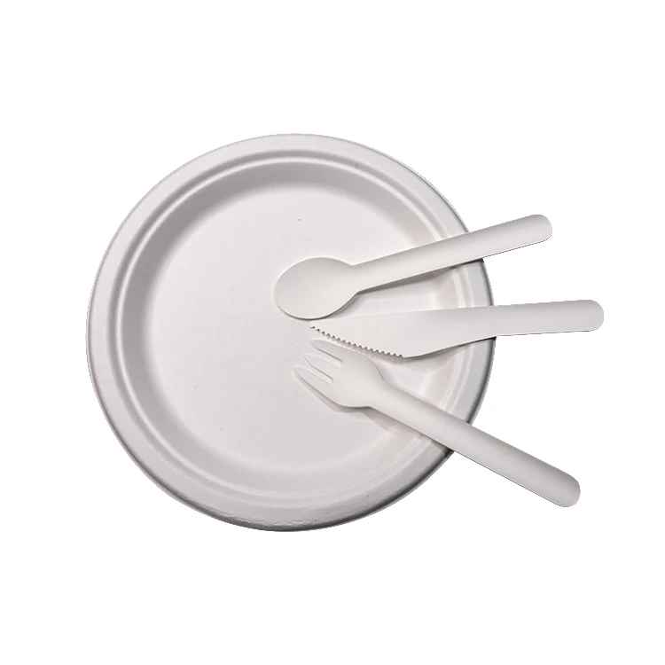 User-friendly disposable cutlery compostable small biodegradable ice cream spoon