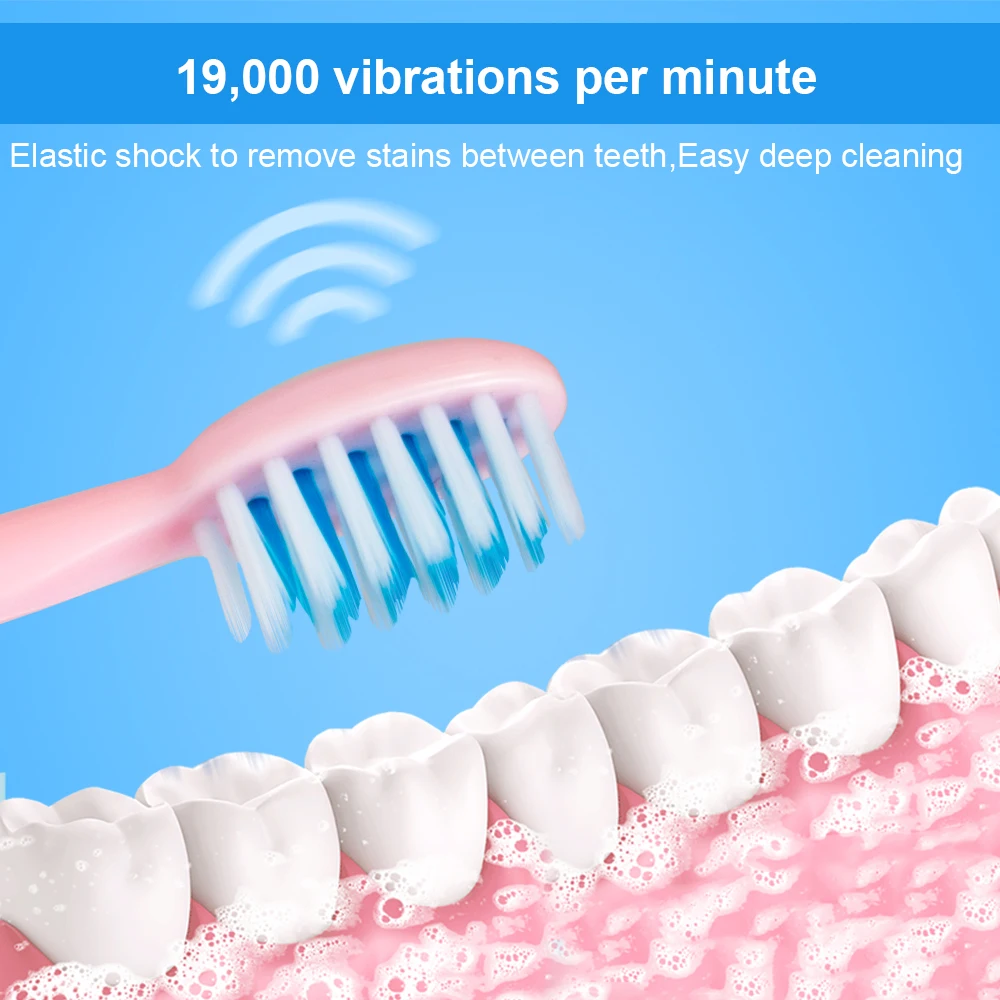 Wholesale Sonic Adult Electrical Tooth Brush Popular Battery Power Home Use Electrical Tooth Brush Sonic Electric Toothbrush