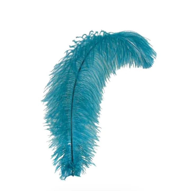 Wholesale Floss Ostrich Feathers  For Wedding Carnival Performance Millinery Fashion and Costume Design