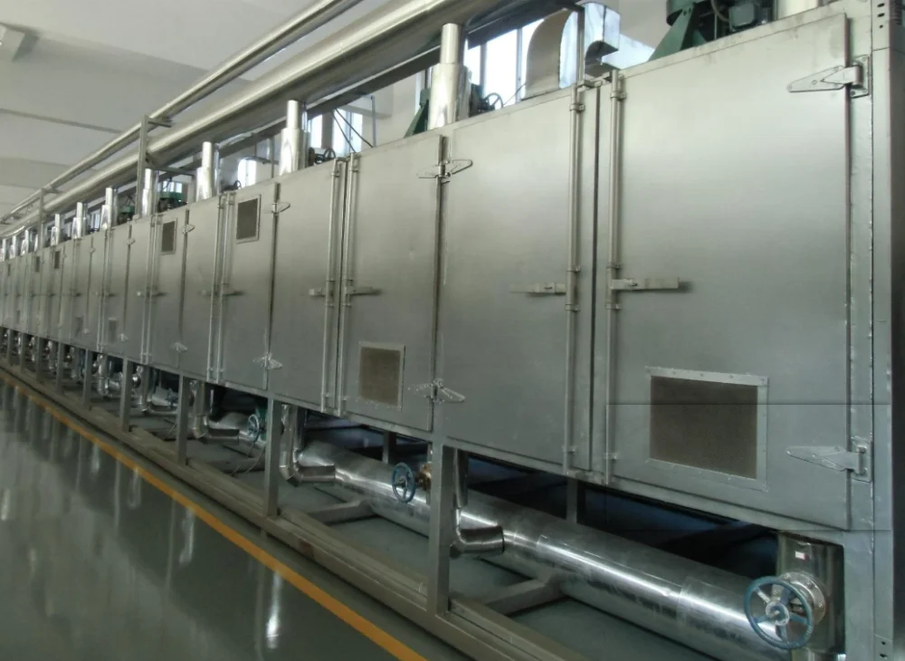 DWT-1.2-10 grape Multi belt dryer/drying equipment/machine for making raisin