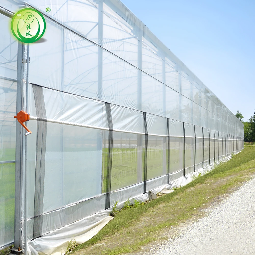 Large Agricultural Greenhouse with Motor Ventilation PCsheet Manufacturing Film Greenhouses Including Irrigation System for Sale