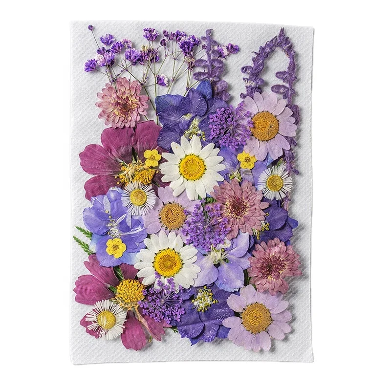 31-35 шт./упаковка, натуральные сухие прессованные цветы