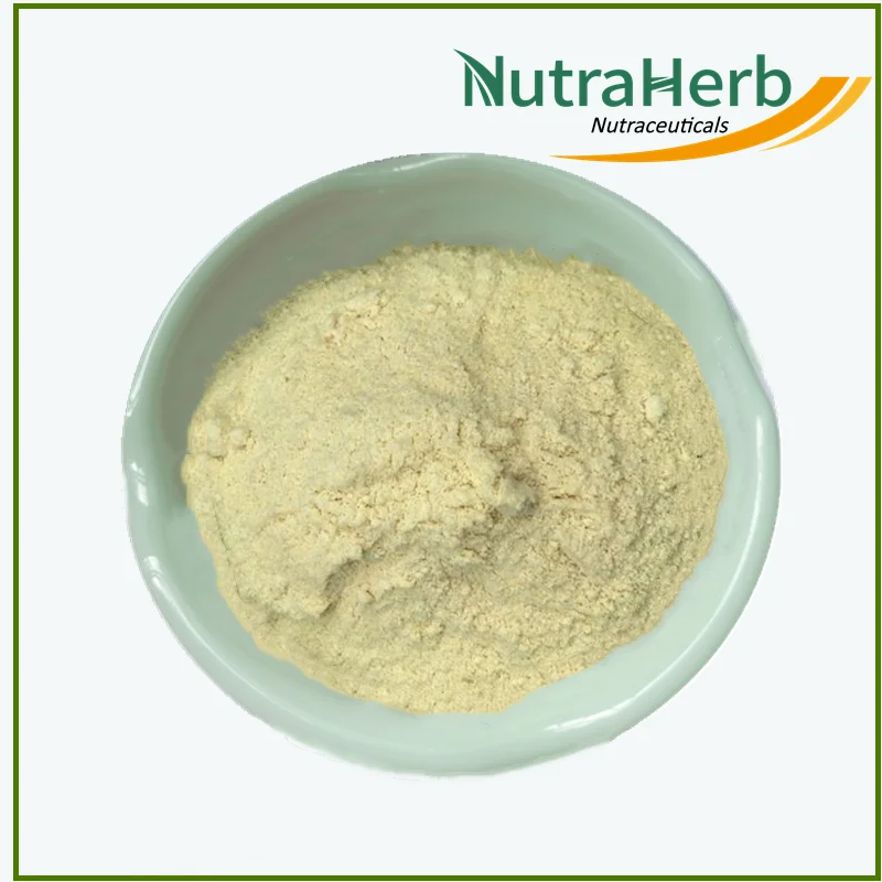 Top Level Soya Lecithin 98% Soybean Lecithin Powder PC 50% 60% 90% Phosphatidylcholine PC