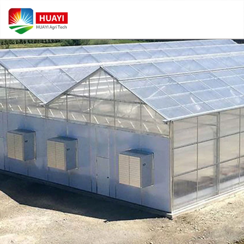 Large span commercial PC Sheet Greenhouse agriculture buy from China best price