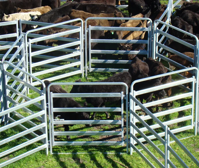 Livestock Fence Yard Panel Welded Metal Cattle Panel