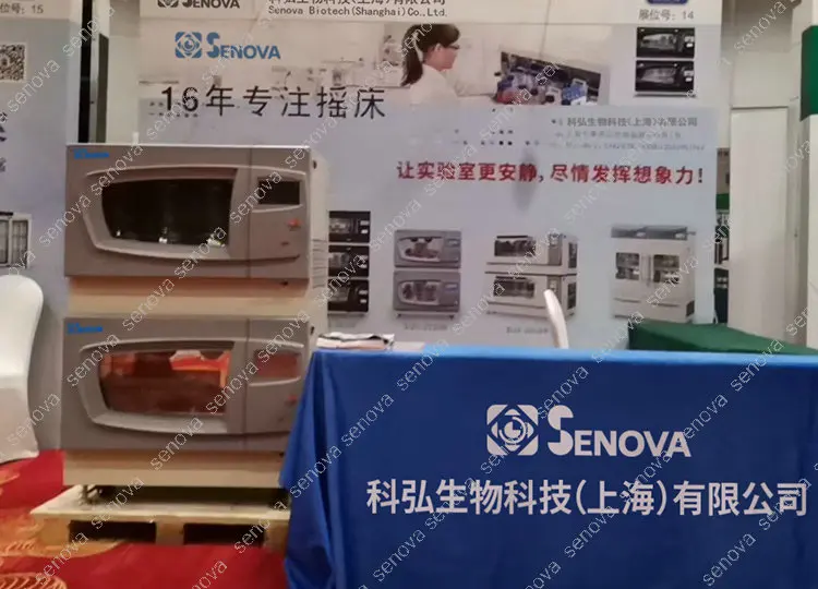 Exhibition1.jpg