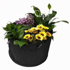 10/20/22/30 Gallon With Window Plant Nursery Fabric Grow Bag Fabric Pot Planting Bag For Garden Or Greenhouse