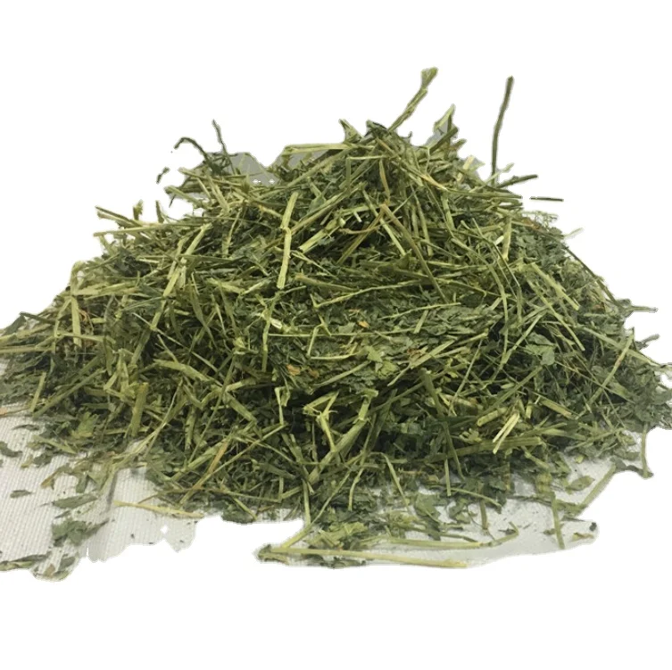 Высококачественный лошадиный Альфальфа для оптовой продажи