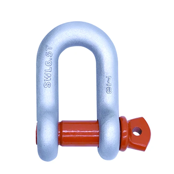 European Type Lifting Dee Stainless Steel D Shackle