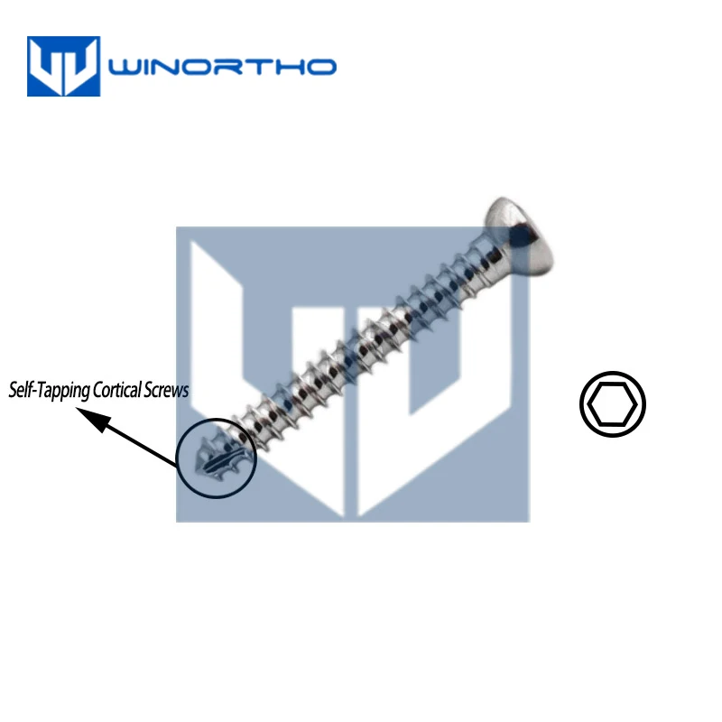 316LVM Stainless steel cortex bone screws self-tapping hex cortical  pet surgical tools and veterinary orthopedic instruments