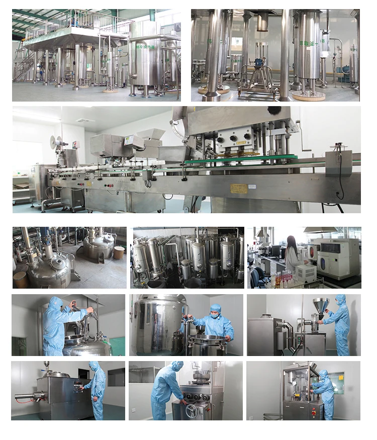 Organic Ganoderma Lucidum/ Lingzhi/ Reishi/  Extract Mushroom Herbal Supplements Powder