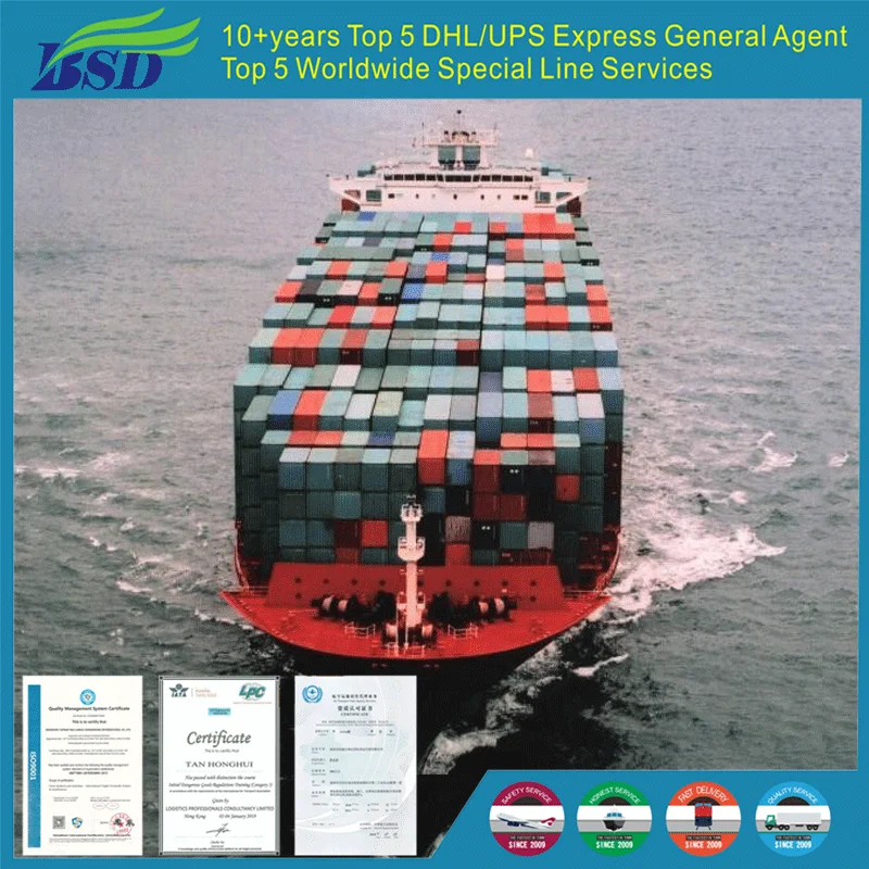 Professional Sea Freight Forwarder From China By Fast Shipping Competitive Price To Other Countries