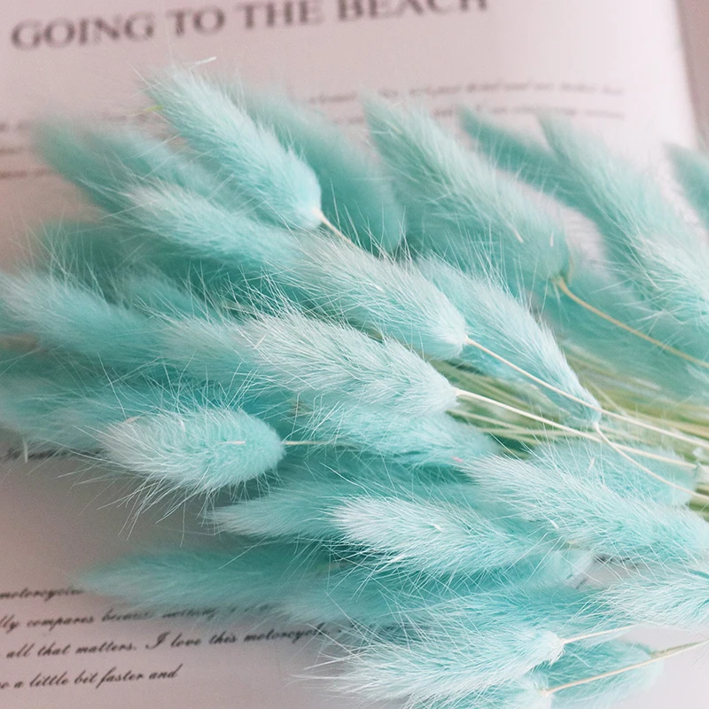 Yunnan Culinan factory wholesale dried flowers natural lagurus ovatus bunny rabbit tail grass