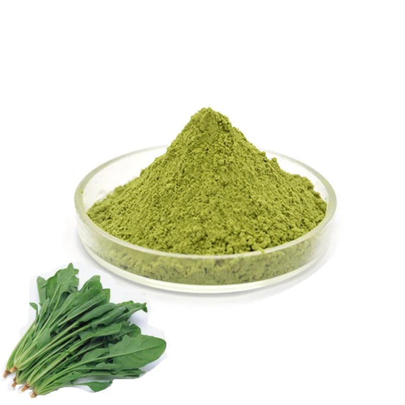 Natural water spinach seed with low price organic red spinach plant extract powder spinach