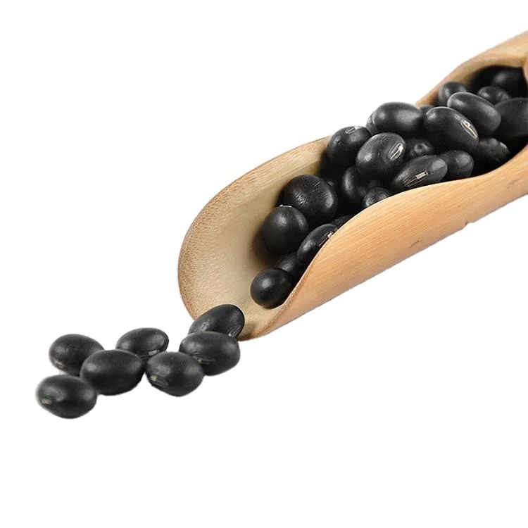 High quality soya beans black bean green kernel soybean supplier