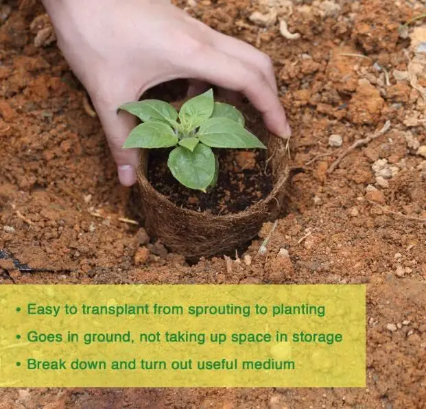 Coconut palm Coco Coir Seedling Starter Pots Tray Sustainable Biodegradable Pots Aternative Peat Pots 20 Plastic Plant Markers