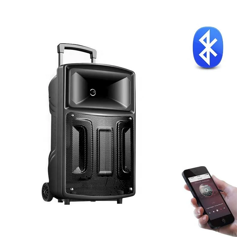 12 or 15 inch trolley rechargeable battery amplifier outdoor speaker with wireless microphone