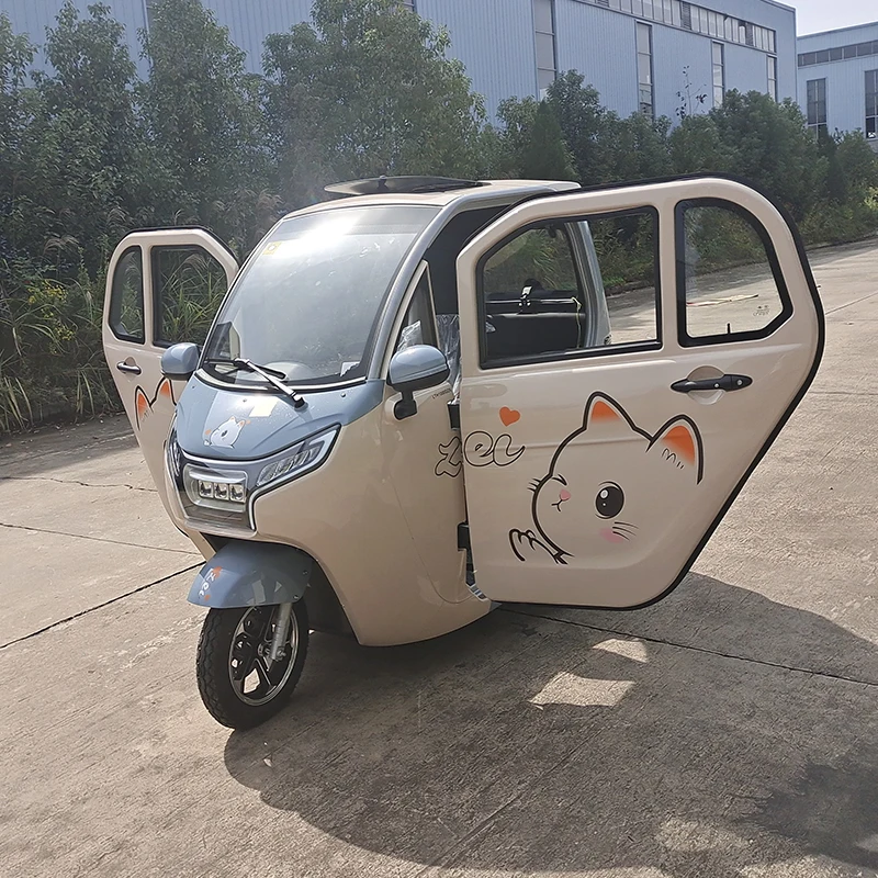 Enclosed Cabin e-trike Three Wheeler electric Tricycle For Adults With EEC certificate