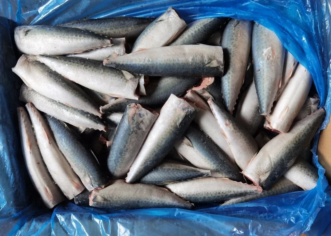  Замороженные морепродукты Тихоокеанская скумбрия HGT