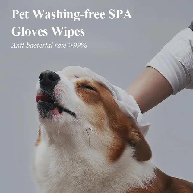Mile Hot Sale High Quality Pet Wash Free Gloves Wipes 10pcs/bag