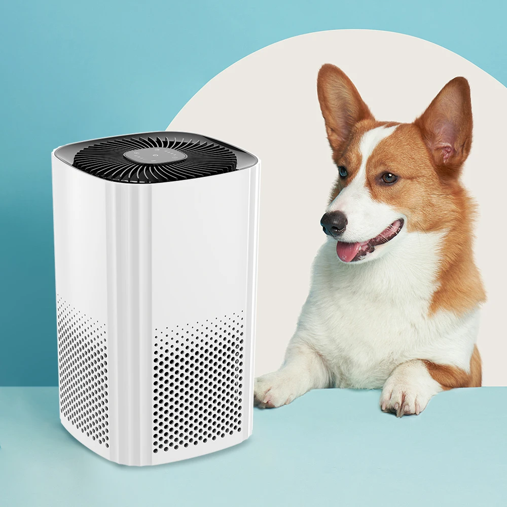 Hot Selling Home Use Mini Installation Electric Power Air Purifier HEPA Filter Ozone Generator ROHS Certified US OEM Available