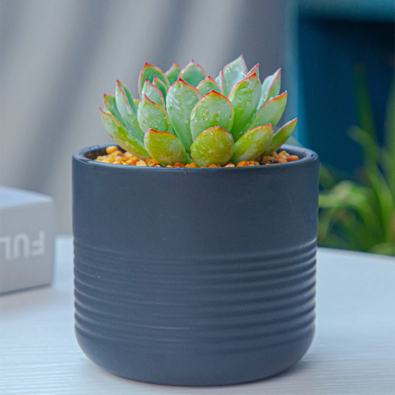 Настольная лампа в поперечную полоску дизайн керамический цветочный горшок для суккулентов