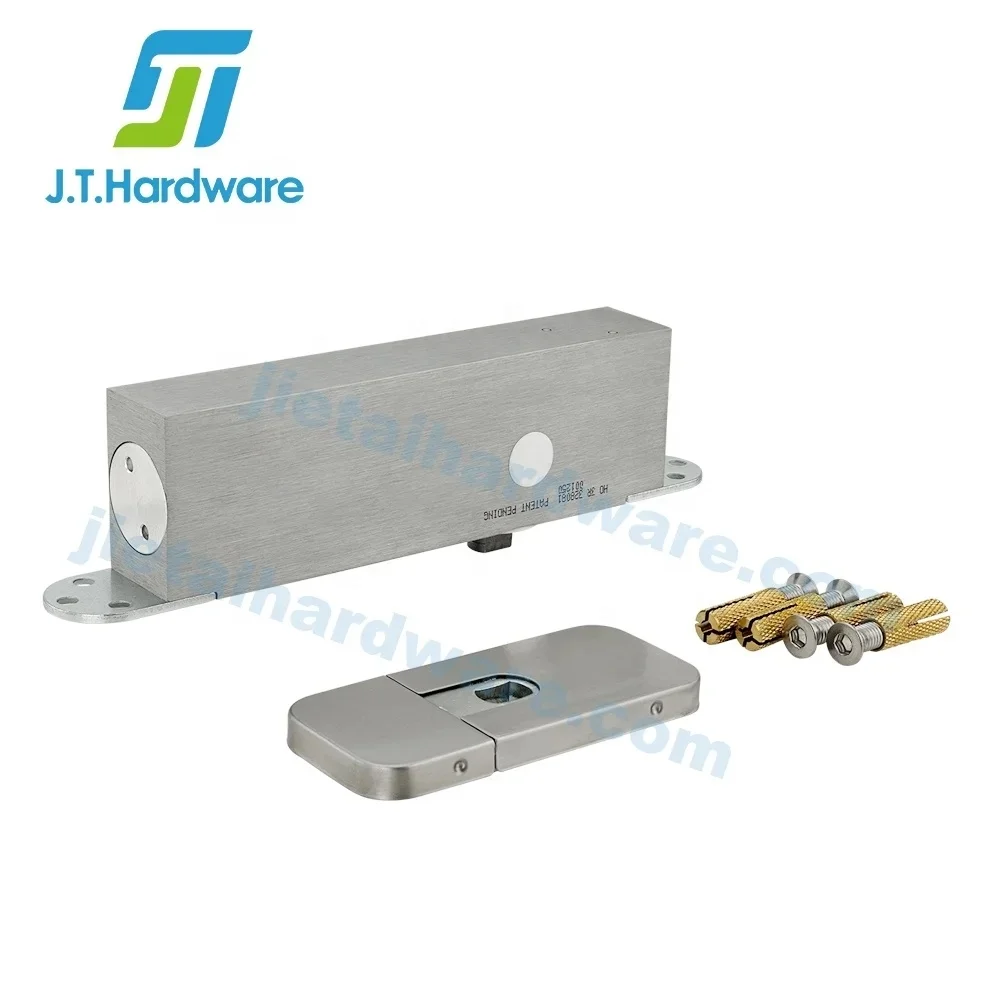 Frits Jur gens System M+ Concealed Wooden Door Hydraulic Self Closing Adjustable Center Bottom Pivot