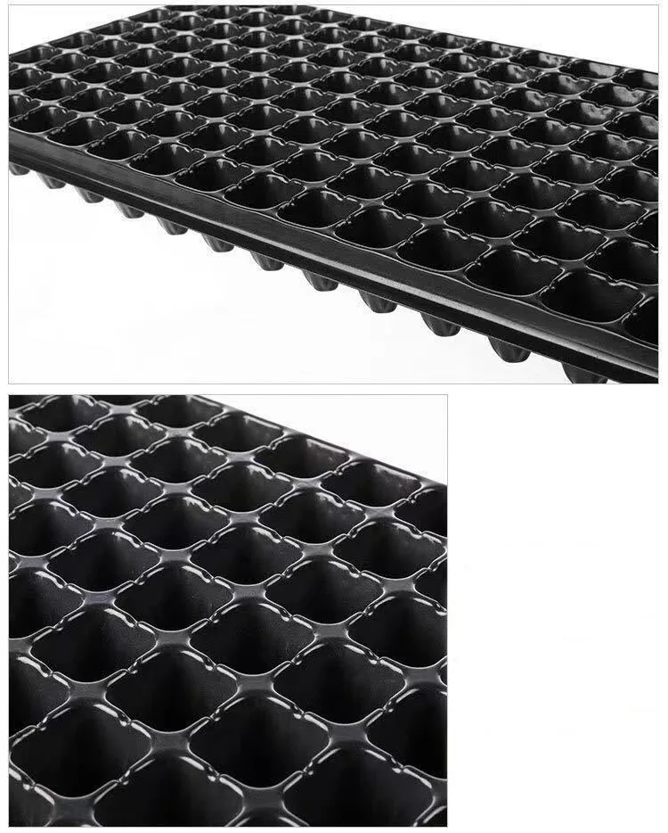 Custom tomato seedling tray plant tray for growing seedlings for growing seedlings
