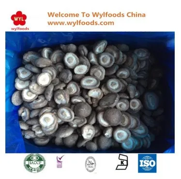Высококачественный замороженный гриб питательный IQF для здорового питания