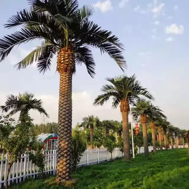 Limutrading hot sale artificial date palm trees for waterpark decoration