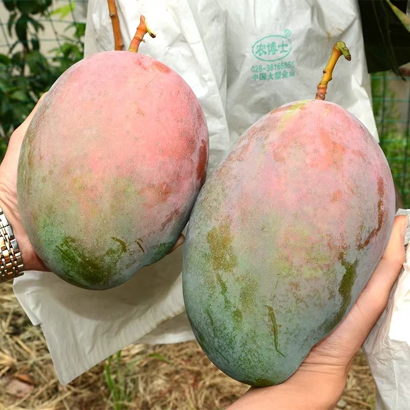 
nutrient solution for hydroponics , nutrients for hydroponics 