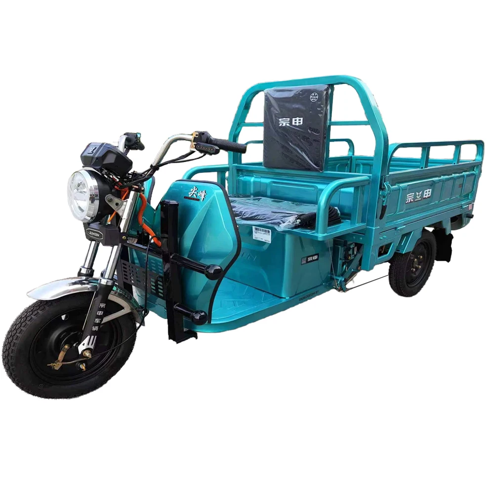 Top Selling 3-Wheeler Heavy Loading Motorcycle Open Body Electric Tricycle for Cargo