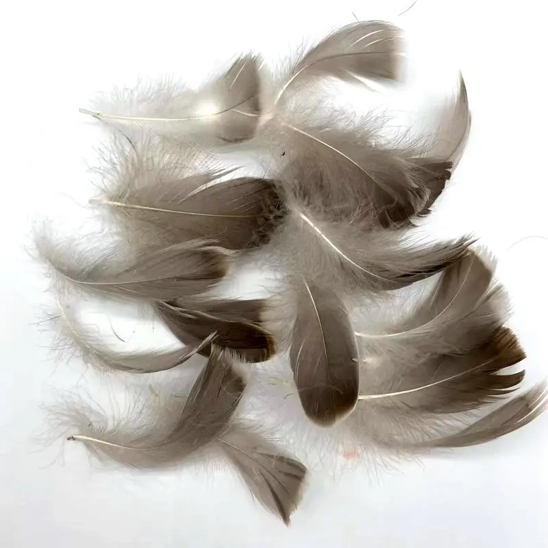 Wholesale 5-10cm Grey Duck Feathers Duck Wing Quill Feathers Goose Down Feathers For DIY Decorations