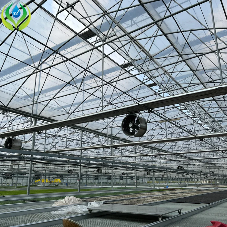 MYXL Economic Double Pe Po Film Multi Span Green House For Plants