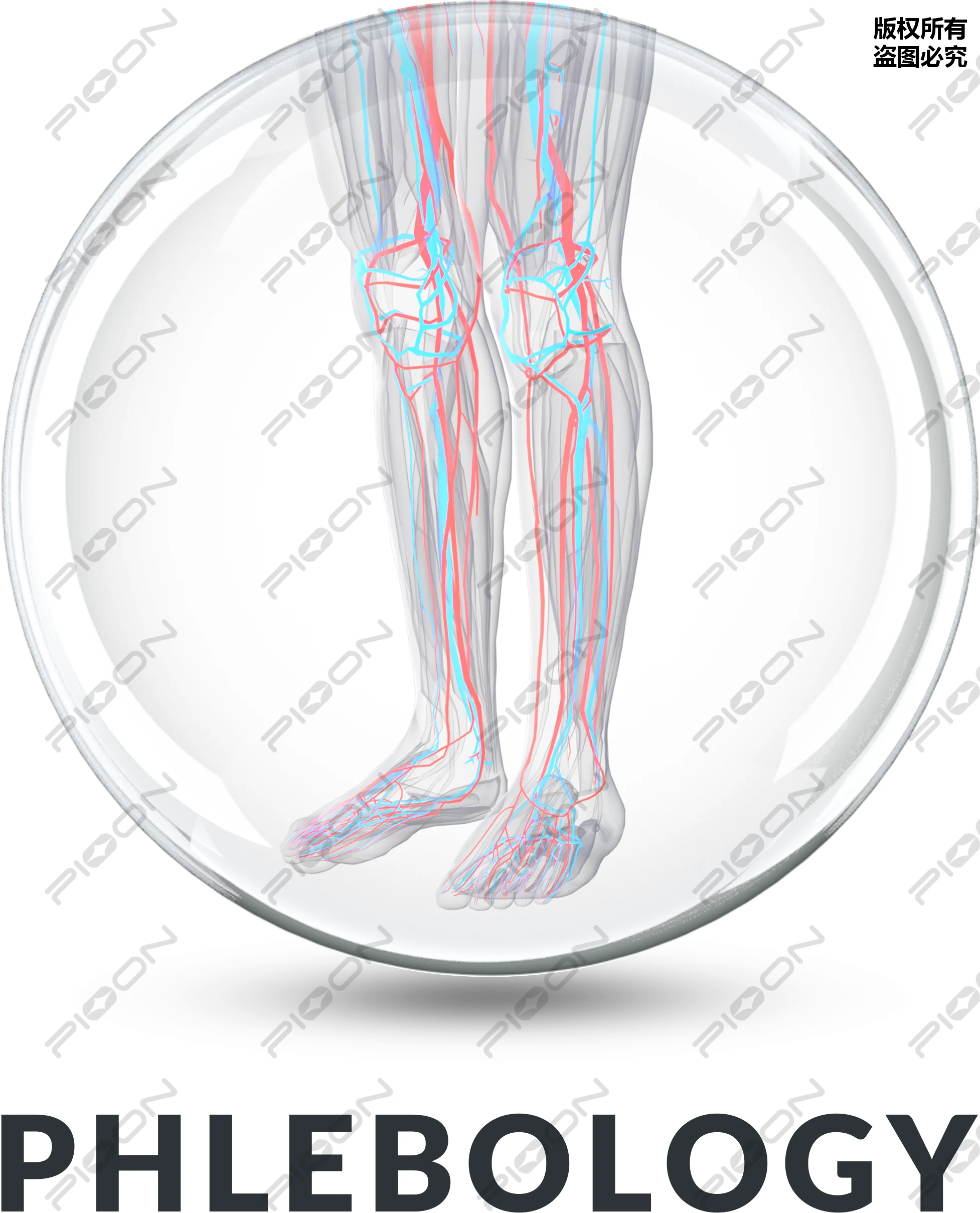 PIOON M2 1940nm Advanced EVLT/EVLA Vascular Surgical Diode Laser for Phlebology