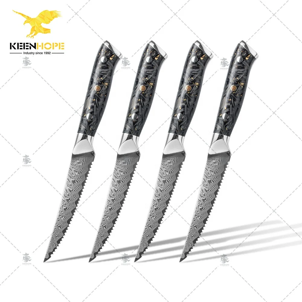 4pcs 4.5 inch steak knife set with SS316 Bolster Composited Resin + Carbon Fiber Handle 67 Layers Damascus VG10 Knife