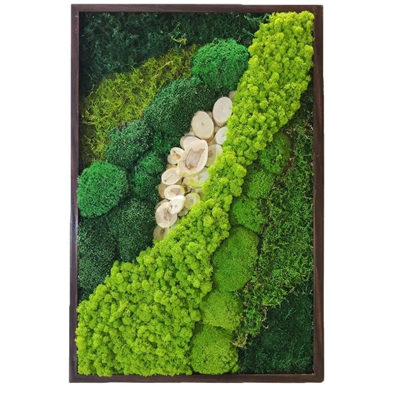 Long Lasting Home Decoration Real Preserved Moss for Wall Decor